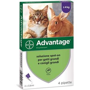 Elanco Bayer Advantage 80 mg Per Gatto oltre 4 kg 4 Pipette Antiparassitario