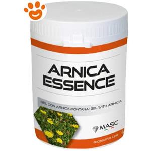 Masc Arnica Essence Gel - Confezione da 250 Ml