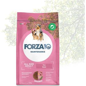 FORZA 10 ALL SIZE ADULT MAINTENANCE MAIALE KG 12