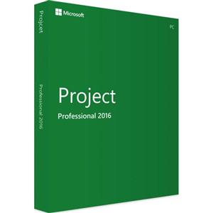 Microsoft Project 2016 Professional