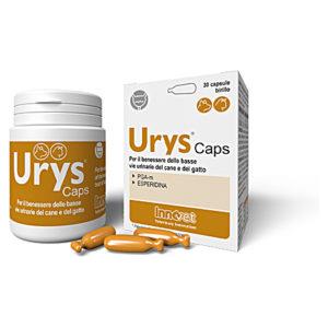 INNOVET URYS CAPS 30 CAPSULE BIRILLO