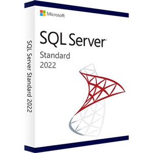 Microsoft SQL SERVER 2022 STANDARD - CALS INCLUSE