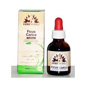 ERBENOBILI Srl FITOBLASTO FICUS CARICA 50ML