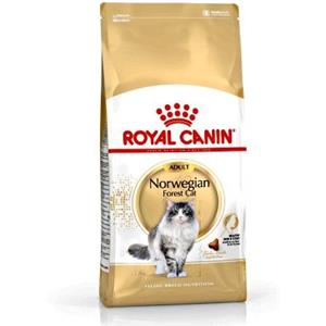 ROYAL CANIN GATTO ADULTO NORVEGESE 2 KG