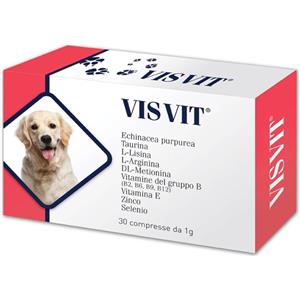 Ddfarma srl Visvit 30 capsule (SCAD.05/2027)