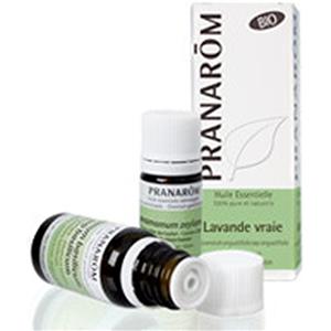 Pranarom Olio Essenziale Chemiotipizzato di ROSMARINO ct canfora BIO