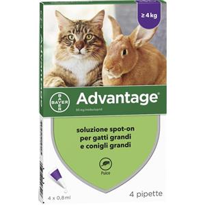 ELANCO BAYER VET Advantage Spot-On 80 mg per Gatti e Conigli 4 Pipette - Antiparassitario