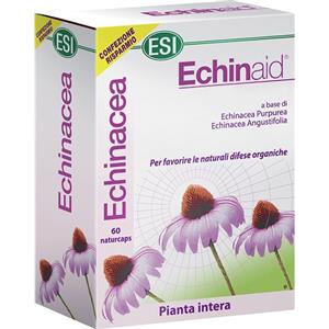 ECHINAID 60CPS ESI - ECHINAID - 906302260