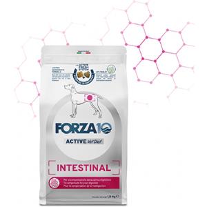 Forza 10 - Active VetDiet Intestinal da 10 kg