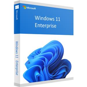 MICROSOFT WINDOWS 11 ENTERPRISE IT