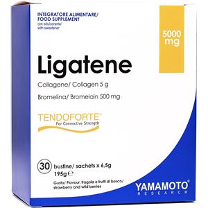 YAMAMOTO RESEARCH Ligatene Tendoforte® 30 bustine da 6,5 grammi Fragola e Frutti di Bosco