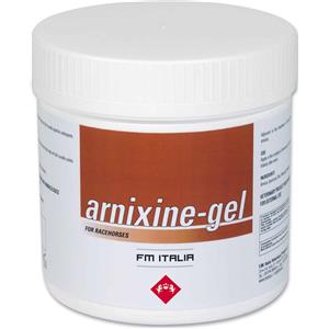 FMITALIA Group s.r.l. Arnixine Gel 750ml