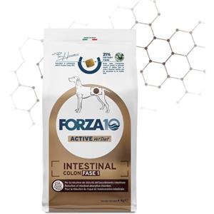 Forza 10 dog active intestinal colon fase 1 4kg