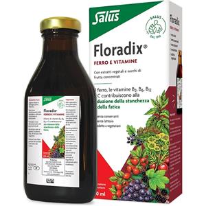 SALUS HAUS Gmbh & Co KG Floradix 250ml