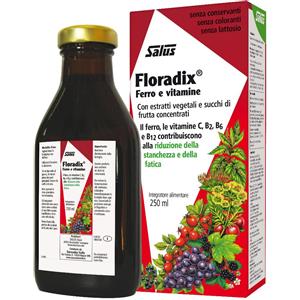 SALUS HAUS Gmbh & Co KG Floradix 250ml