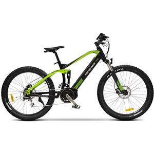 Argento E-Bike Performance Pro Bicicletta Con Pedalata Assistita Mountain e-bike