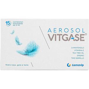 GEMAVIP VITGASE AEROSOL 15F 25ML