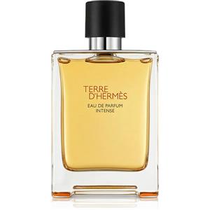 Hermes Terre d´Hermès Intense Eau de Parfum uomo Ricaricabile 100 ml