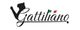 Logo Gattiliano