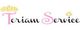 Logo Teriam Service