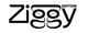 Logo Dottor Ziggy